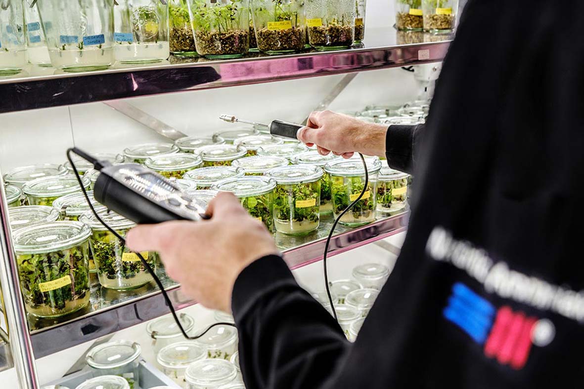 Kuehlraum Messtechnik Hann-Muenden
